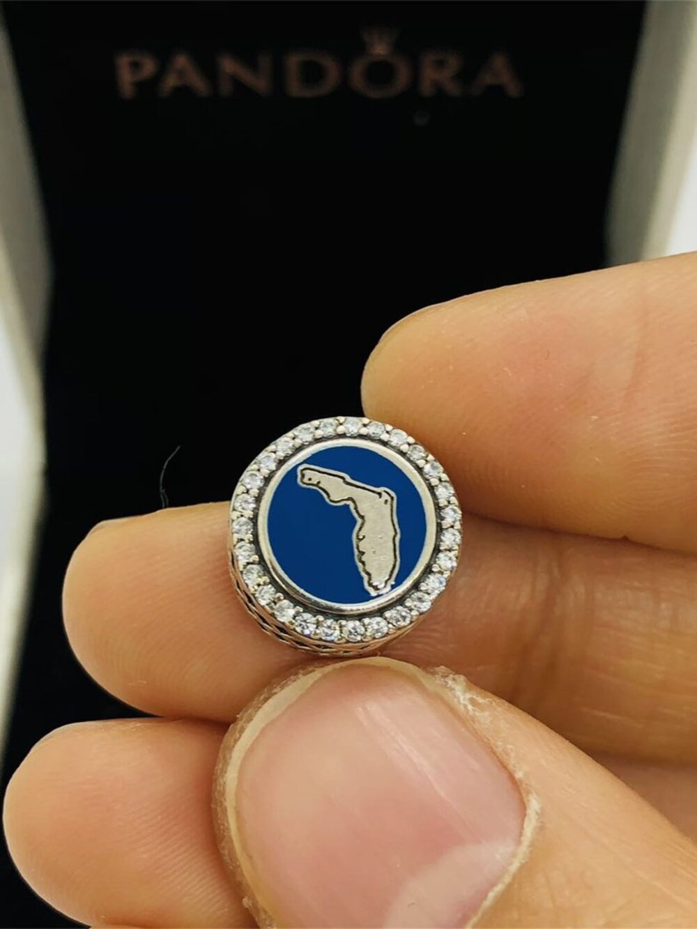 ✨🔥Pandora HOME Florida Map Bead Charm S925 Sterling Silver Jewelry
